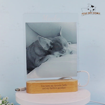 Custom Photo 3d Lamp with Pet Picture, Personalized Pet Night Light for Pet Lovers