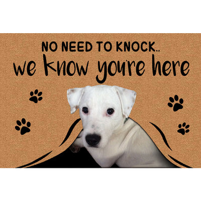 ”No Need to Knock“ Custom Pet Doormat from your dog cat pets photo - The Pet Pillow