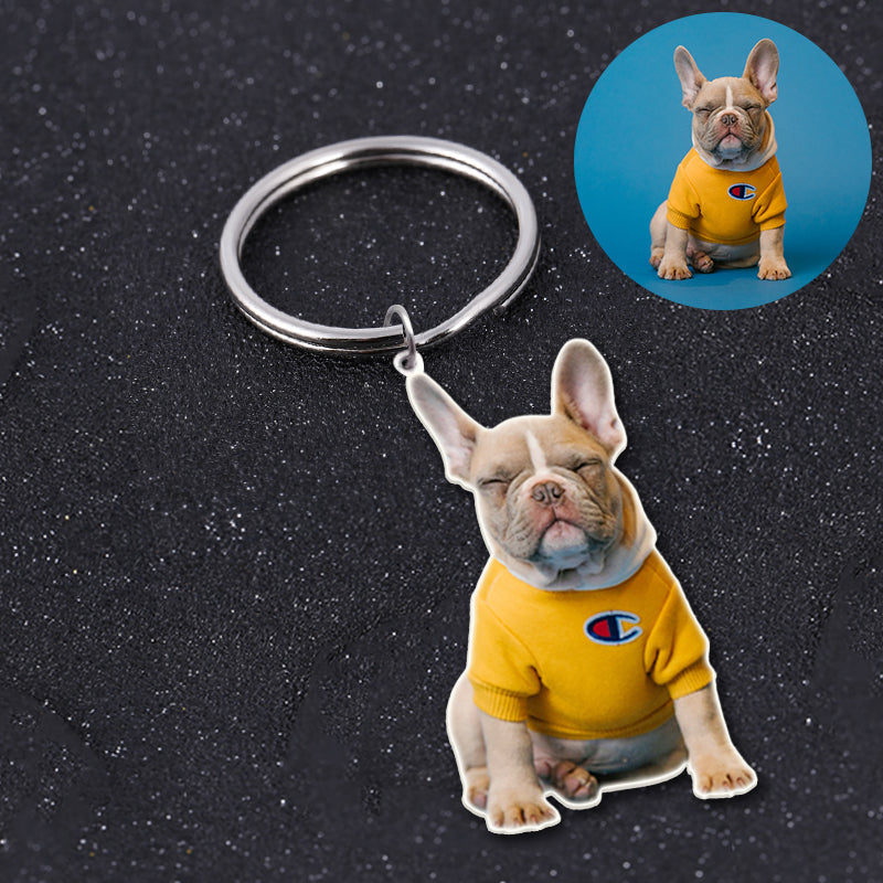 Customized Pet Epoxy Photo Keychain, Three Type - The Pet Pillow