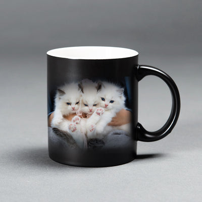 Custom Pet Photo Temperature Change Color Mug - The Pet Pillow