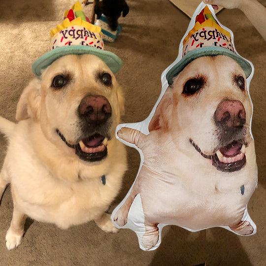 Custom Pet Shaped Pillow for Pet Owners, Christmas &amp; Traveling Gift - The Pet Pillow