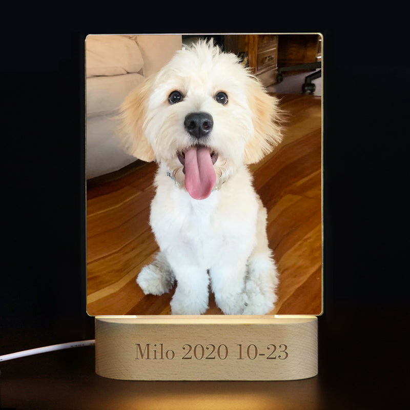 Custom Photo 3d Lamp with Pet Picture, Personalized Pet Night Light for Pet Lovers - The Pet Pillow