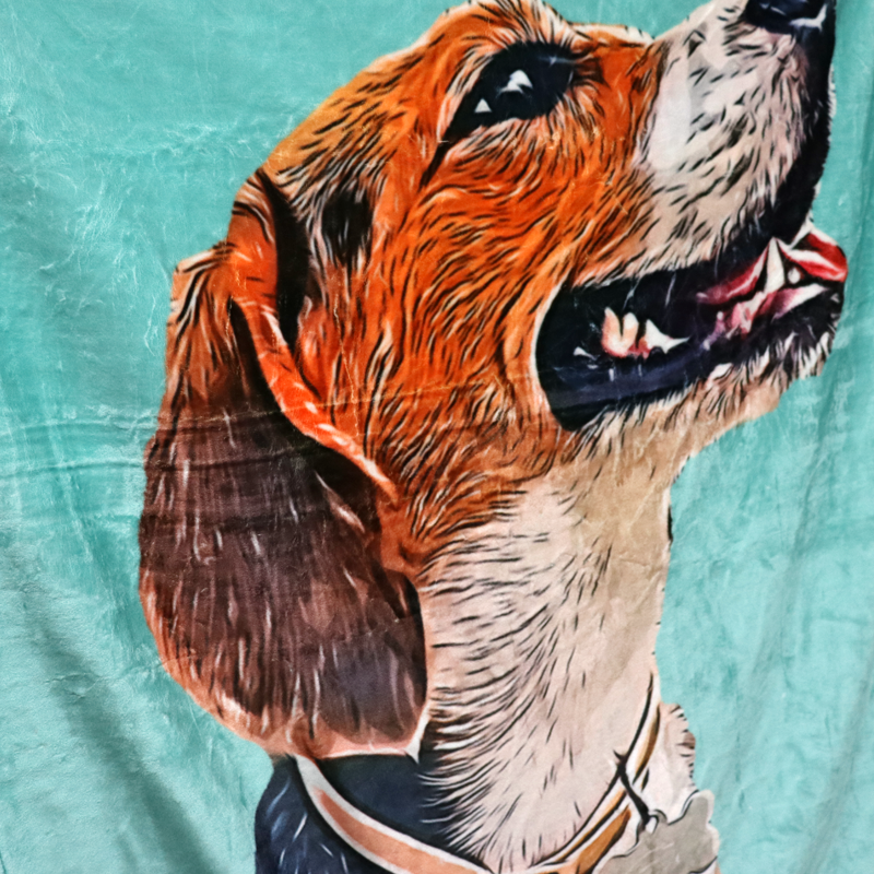 Custom Pet Photo Drawing Cartoon Blanket, Draw Head/Body - The Pet Pillow