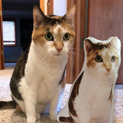 Custom Cat Shaped Memorial Pillow for Pet Owners from Your Cat Picture - The Pet Pillow