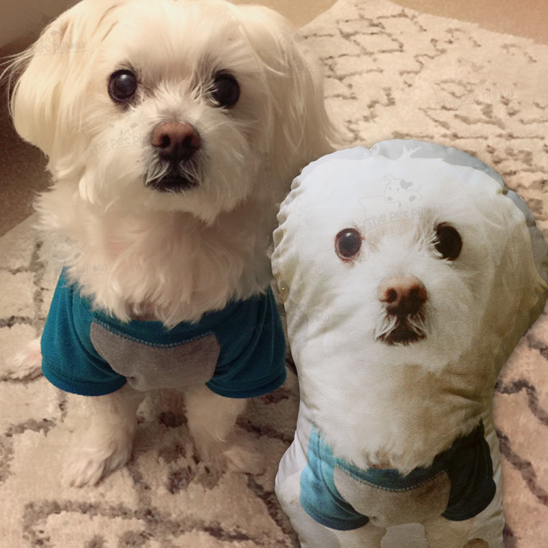 Custom Pet Shaped Pillow that Look Like your Pet - ThePetPillow - The Pet Pillow