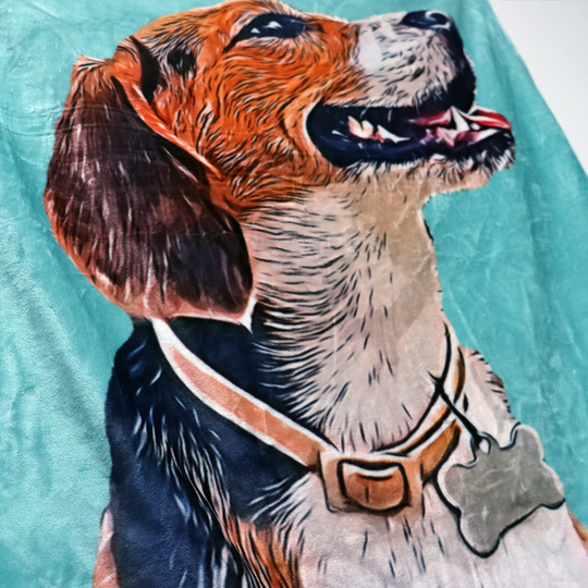 Custom Pet Photo Drawing Cartoon Blanket, Draw Head/Body - The Pet Pillow