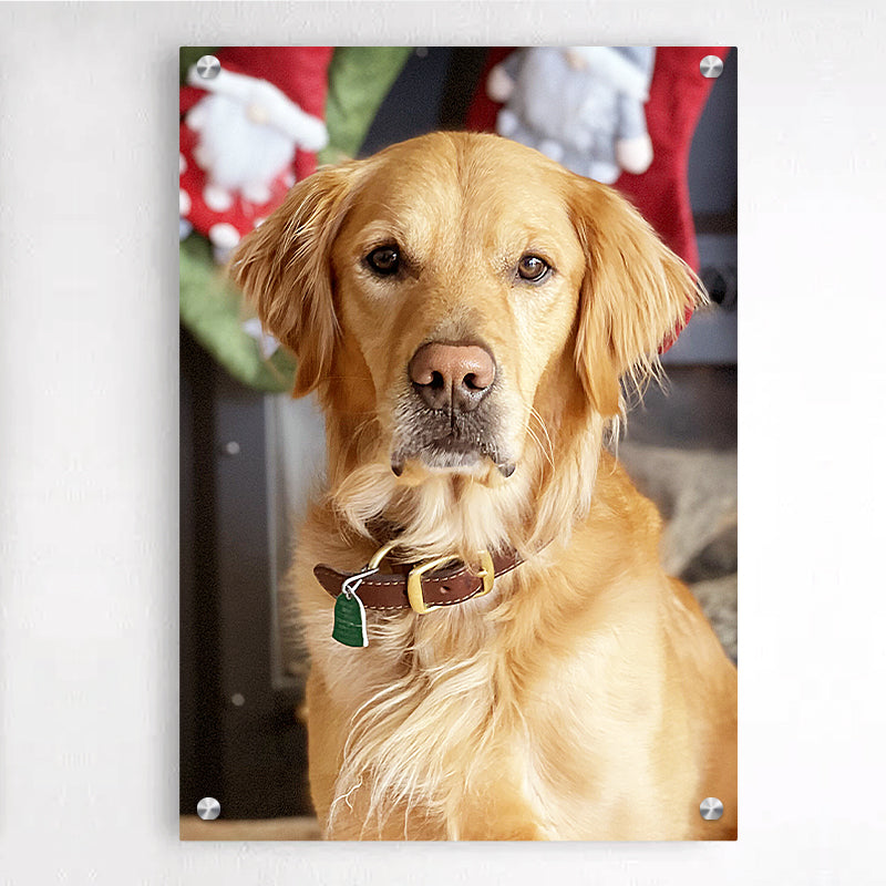 Custom Dog Plexiglass Floating Frames Art, Personalized Pet Portrait Acrylic Wall Painting - The Pet Pillow