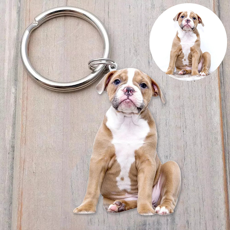 Customized Pet Epoxy Photo Keychain, Three Type - The Pet Pillow