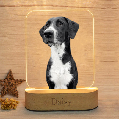 Customized Pet Picture Night Light with Name, Acrylic Table Lamp Personzlized Memorial Gift for Holiday, Anniversary - The Pet Pillow