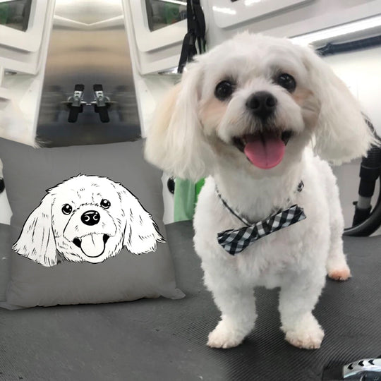 Custom Hand Drawing Charcoal Portrait Memorial Square Pillow of Your Pet - The Pet Pillow