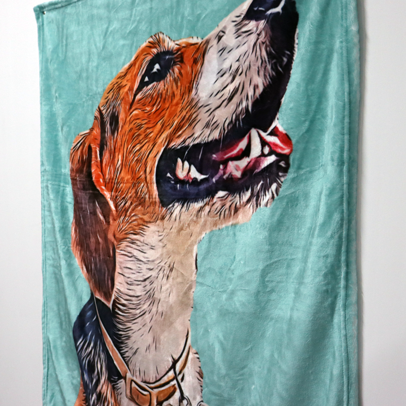 Custom Pet Photo Drawing Cartoon Blanket, Draw Head/Body - The Pet Pillow