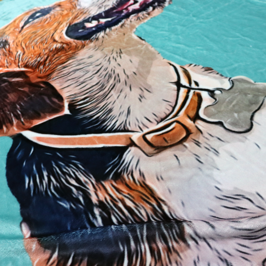 Custom Pet Photo Drawing Cartoon Blanket, Draw Head/Body - The Pet Pillow