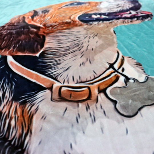 Custom Pet Photo Drawing Cartoon Blanket, Draw Head/Body - The Pet Pillow