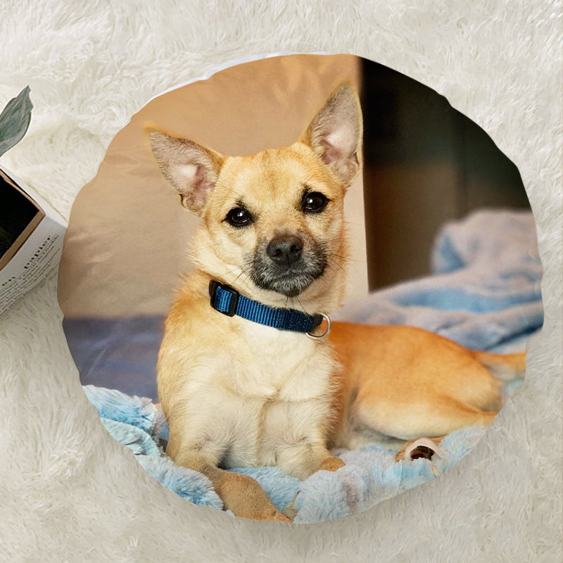 Custom Dog Round Throw Pillows Made from Original, Personalized Pet Round  Velvet Pillow