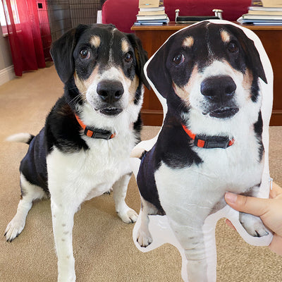 Pet Pillow Looks Like Your Pet, Customize Dog Shaped Pillow with Pet Photo - The Pet Pillow