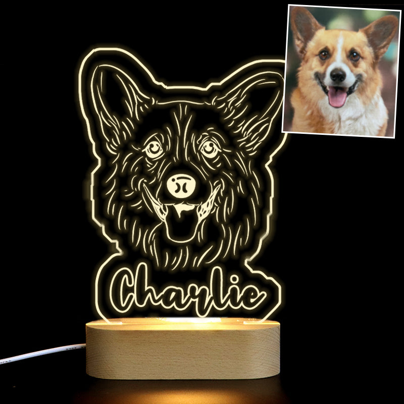 Custom Pet 3d Photo Lamp with Name Engraved, Personalized Led Night Light for Bedroom - The Pet Pillow
