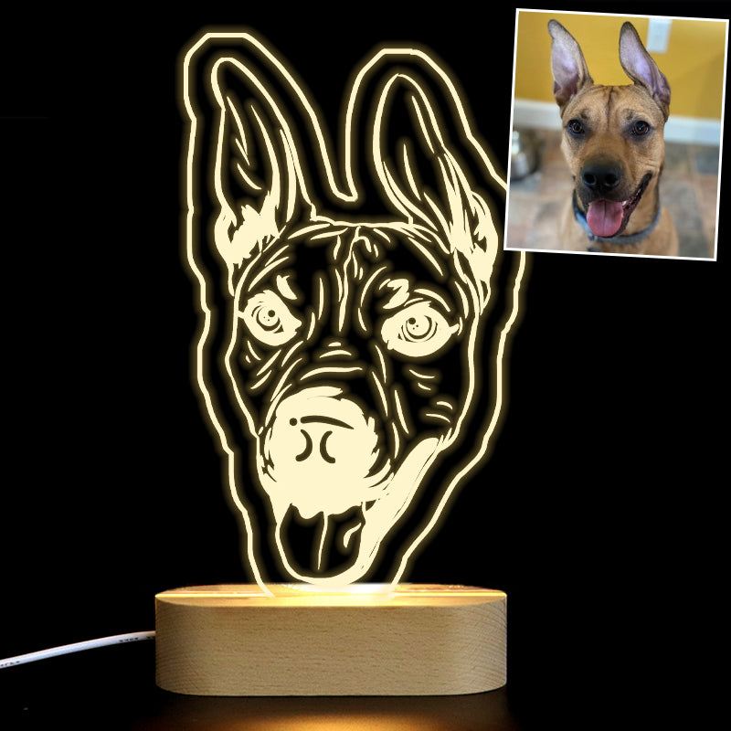 Custom Pet 3d Photo Lamp with Name Engraved, Personalized Led Night Light for Bedroom - The Pet Pillow