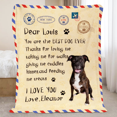 Custom Pet Letter Blanket Personalized Handwritten Letter Blanket With Name - The Pet Pillow