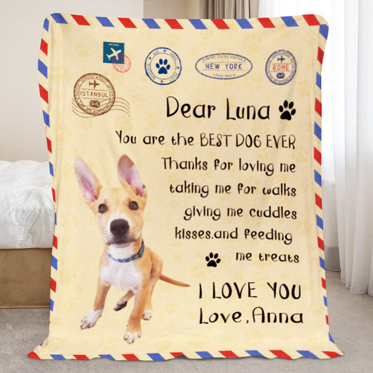 Custom Pet Letter Blanket Personalized Handwritten Letter Blanket With Name - The Pet Pillow