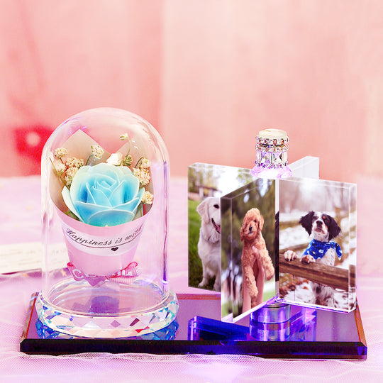 Custom Pet Photo Crystal Decorations Creative Gift, Birthday &amp; Graduation Season Gift - The Pet Pillow