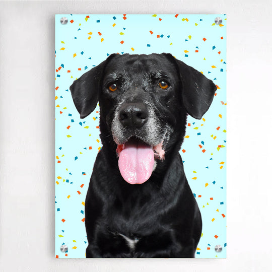 Custom Pet Portraits Acrylic Wall Art Picture Frames with Your Original Pet Photo Crop Out - The Pet Pillow