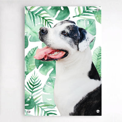 Custom Pet Portraits Acrylic Wall Art Picture Frames with Your Original Pet Photo Crop Out - The Pet Pillow