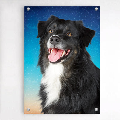 Custom Pet Portraits Acrylic Wall Art Picture Frames with Your Original Pet Photo Crop Out - The Pet Pillow