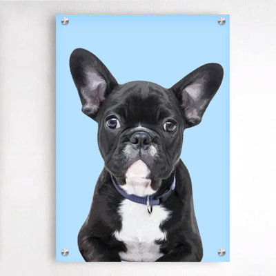 Personalized Pet Plexiglass Floating Frame Acrylic Picture Frames Wall Art - The Pet Pillow