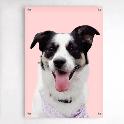 Personalized Pet Plexiglass Floating Frame Acrylic Picture Frames Wall Art - The Pet Pillow