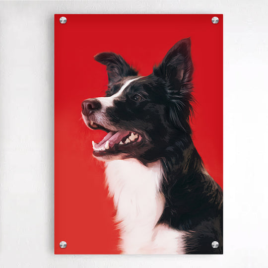 Personalized Pet Plexiglass Floating Frame Acrylic Picture Frames Wall Art - The Pet Pillow