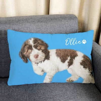 Custom Pet Memorial Pillows Made From Pet Pictures For Bed, Couch, Living Room- Double Printed - The Pet Pillow