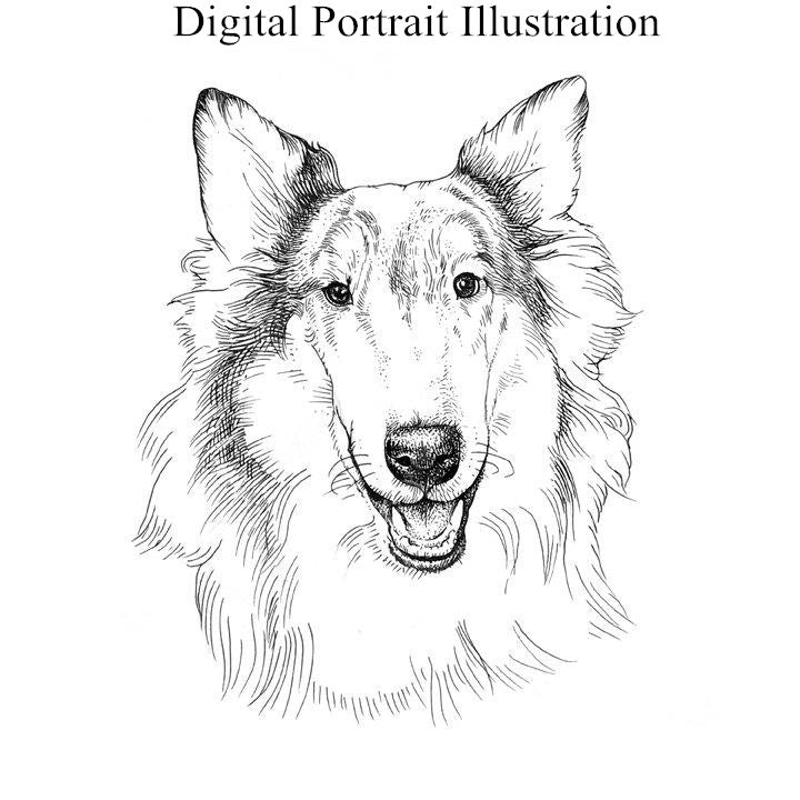 Custom Hand Drawing Charcoal Portrait Memorial Square Pillow of Your Pet - The Pet Pillow