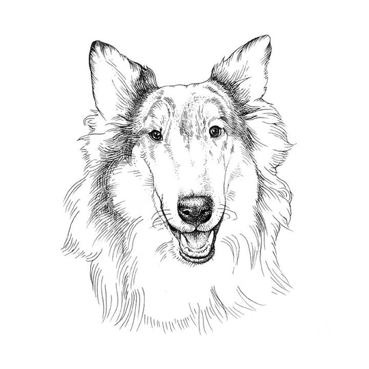 Custom Hand Drawing Charcoal Portrait Memorial Square Pillow of Your Pet - The Pet Pillow