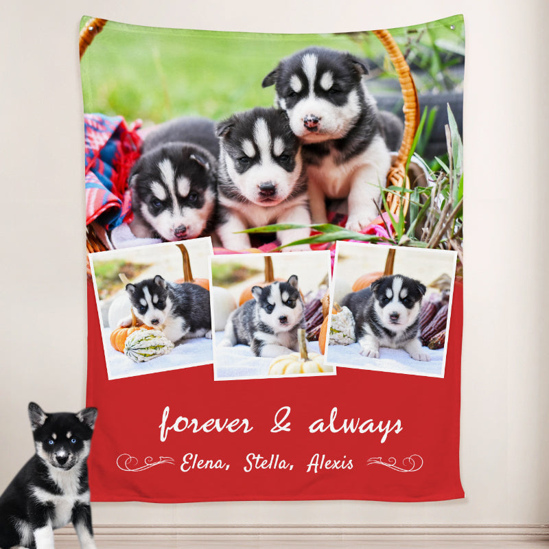 Photo Collage Blanket Personalized with Pet Pictures, Custom Collage Blankets from Pet Photo - The Pet Pillow