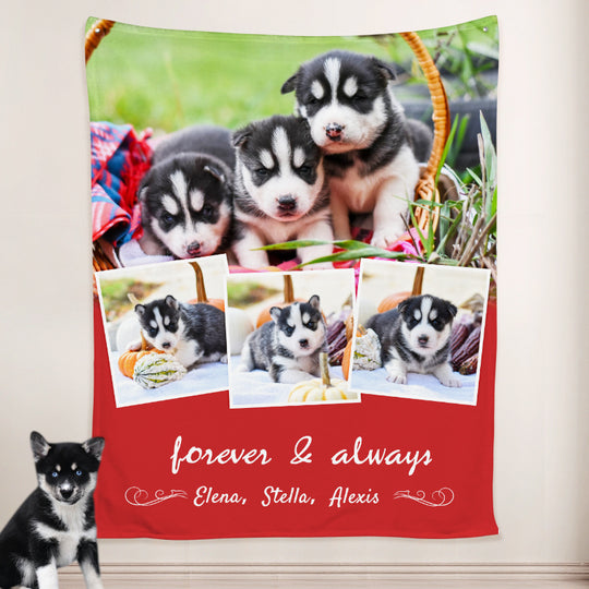 Photo Collage Blanket Personalized with Pet Pictures, Custom Collage Blankets from Pet Photo - The Pet Pillow