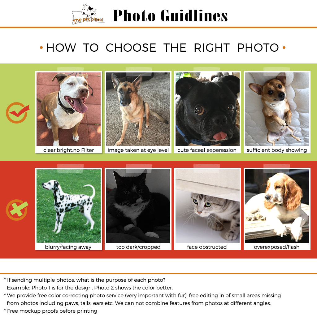 Custom Art Pillow, Print Your Artwork into a Pillow - The Pet Pillow