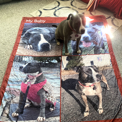 Custom Pet Photo Collage Editable Color Fleece Blanket with 4 Pet Photos - The Pet Pillow