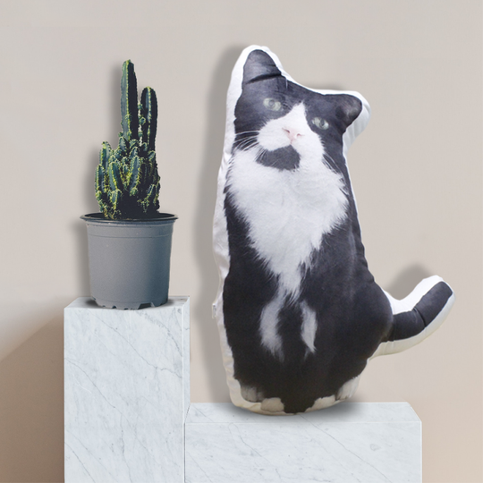 Customize Dog Cat Shaped Pillow that Look Like Your Pet Made from Your Pet Picture - The Pet Pillow