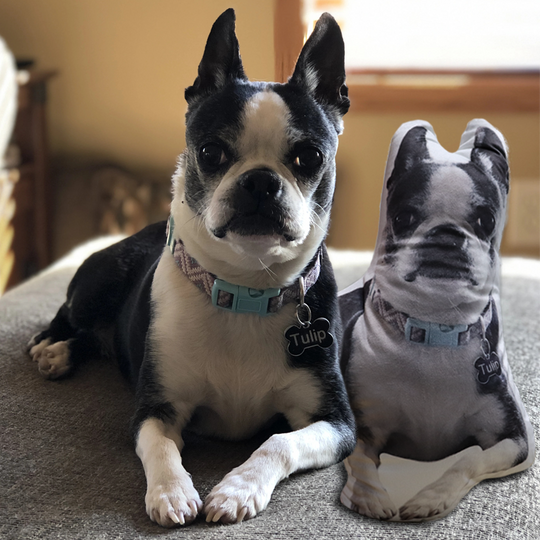 Custom Pet Shaped Pillow that Look Like your Pet - ThePetPillow - The Pet Pillow