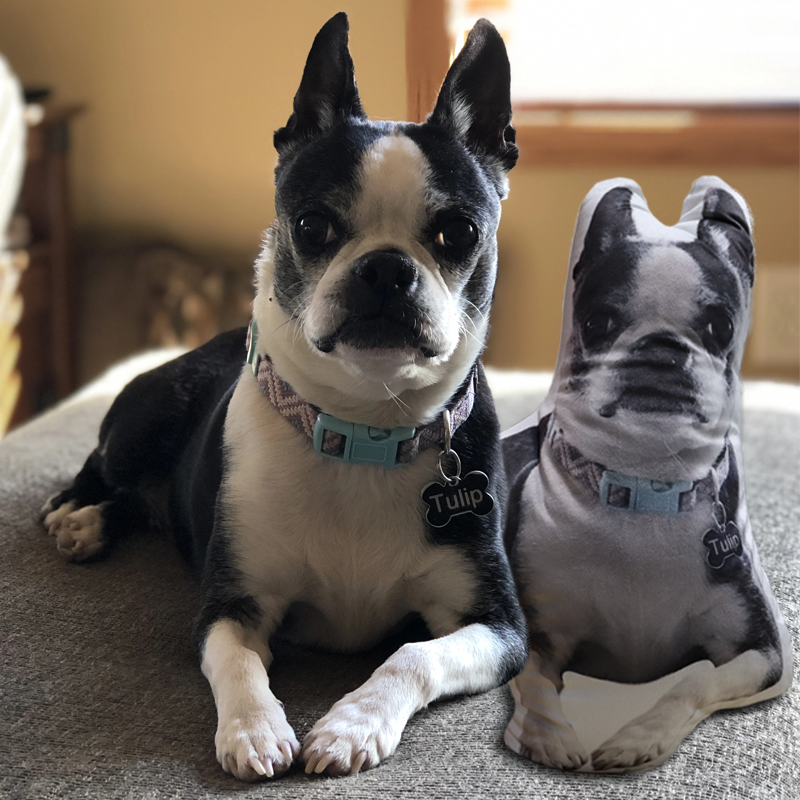 Custom Pet Shaped Pillow that Look Like your Pet ThePetPillow