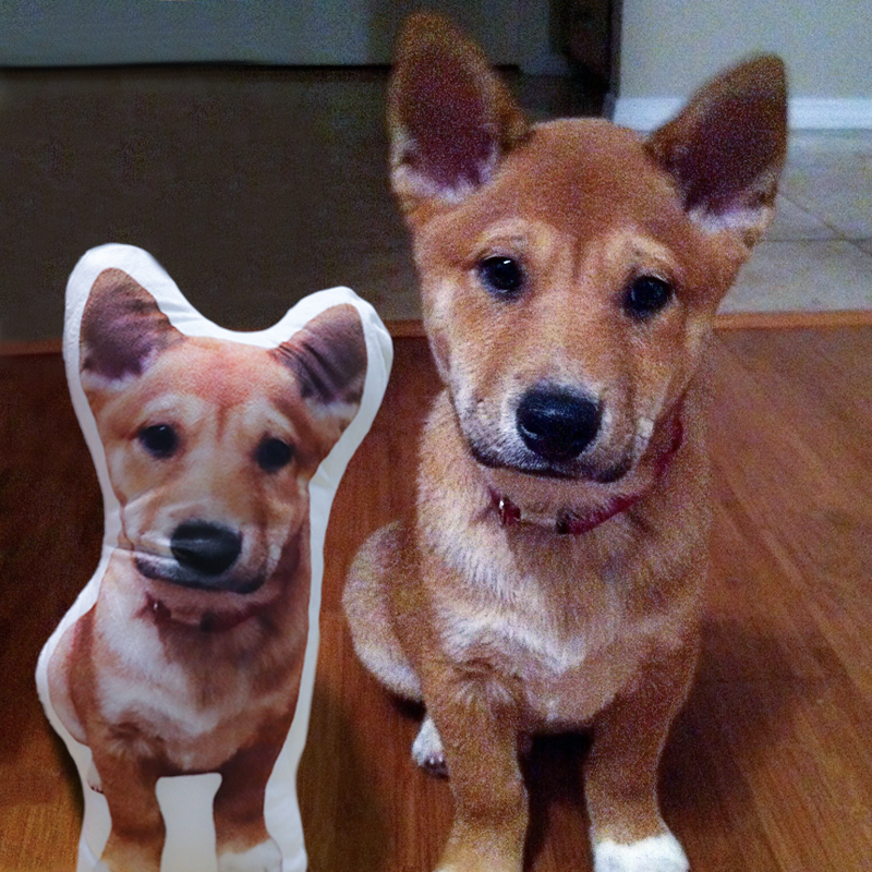 Custom Pet Shaped Pillow that Look Like your Pet - ThePetPillow - The Pet Pillow
