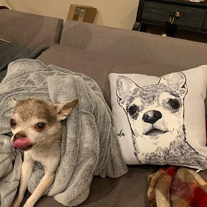 Custom Hand Drawing Charcoal Portrait Memorial Square Pillow of Your Pet - The Pet Pillow