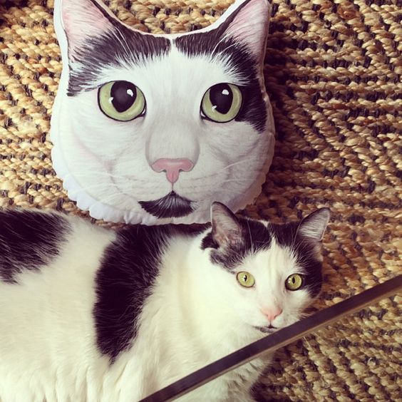 Custom Pet Sketch Portrait Face Head Shaped Pillow, 100% Hand Drawing from Your Pet Picture - The Pet Pillow