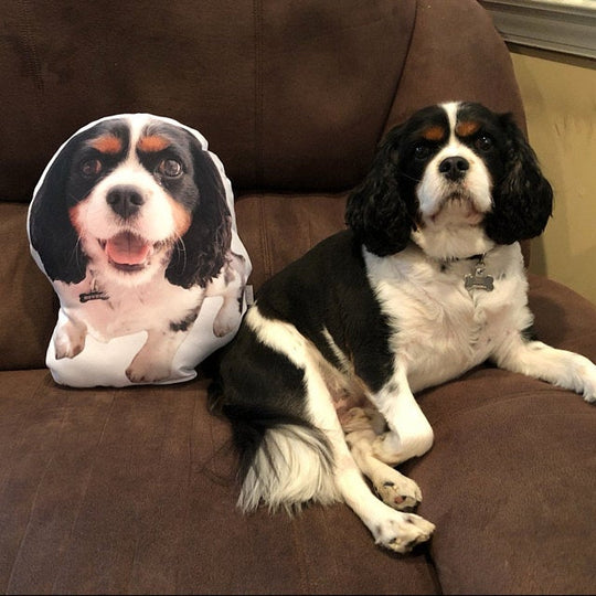 Custom Pet Shaped Pillow for Pet Owners, Christmas &amp; Traveling Gift - The Pet Pillow