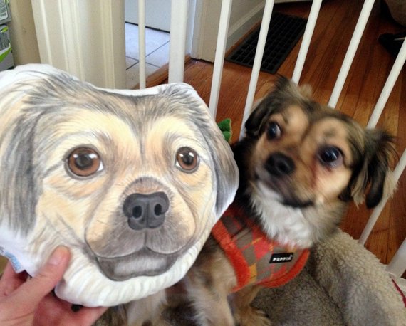 Custom Pet Sketch Portrait Face Head Shaped Pillow, 100% Hand Drawing from Your Pet Picture - The Pet Pillow