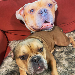 Custom Pet Face Shaped Pillow from Your Pet Photos, Customized Pet Head Pillows - The Pet Pillow