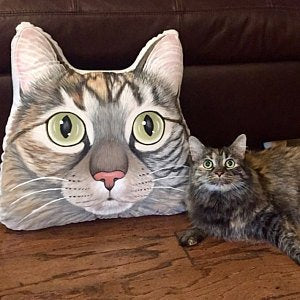 Custom Pet Sketch Portrait Face Head Shaped Pillow, 100% Hand Drawing from Your Pet Picture - The Pet Pillow