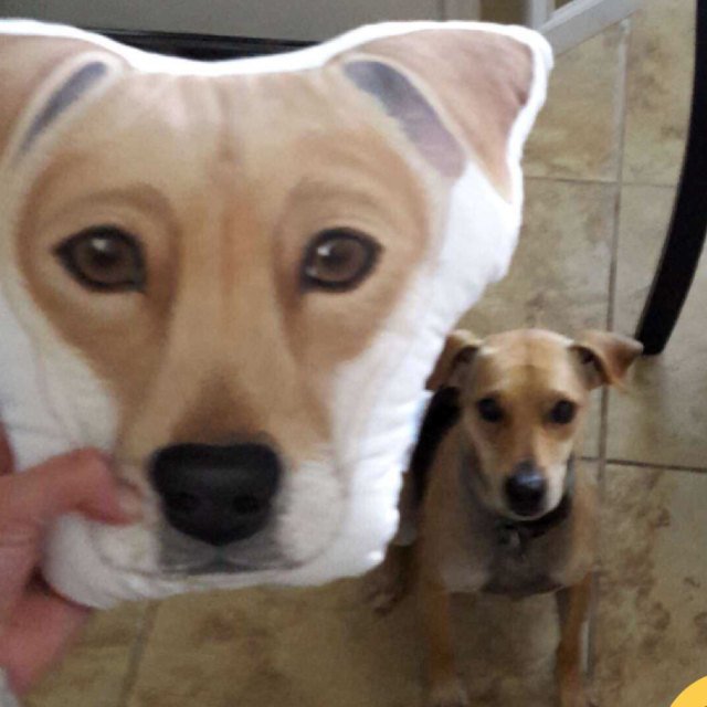 Custom Pet Sketch Portrait Face Head Shaped Pillow, 100% Hand Drawing from Your Pet Picture - The Pet Pillow