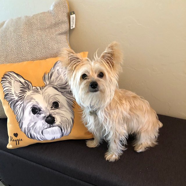 Custom Hand Drawing Charcoal Portrait Memorial Square Pillow of Your Pet - The Pet Pillow