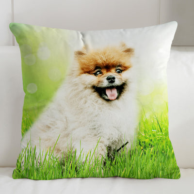 Custom Pet Square Pillow Inserts With Picture For Couch,Bed - The Pet Pillow